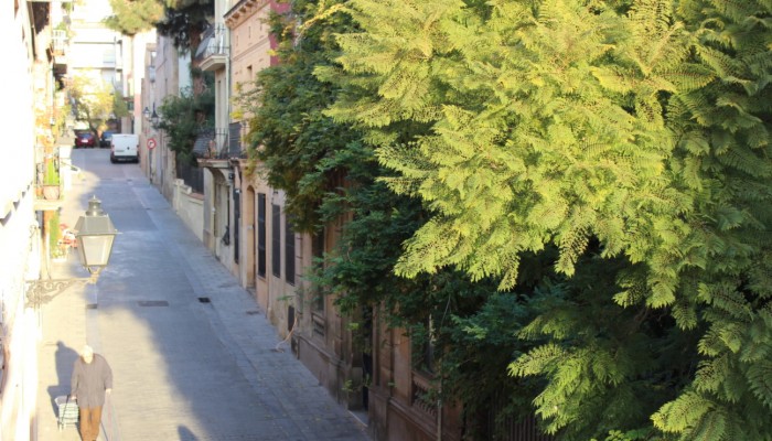 Wohnung Graus – Ansicht